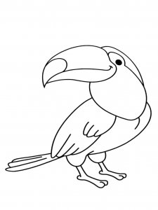 Toucan coloring page 23 - Free printable