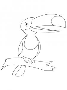 Toucan coloring page 7 - Free printable