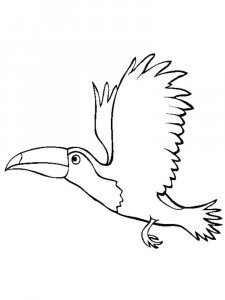 Toucan coloring page 9 - Free printable