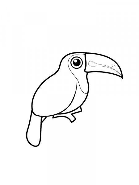 Toucan coloring pages