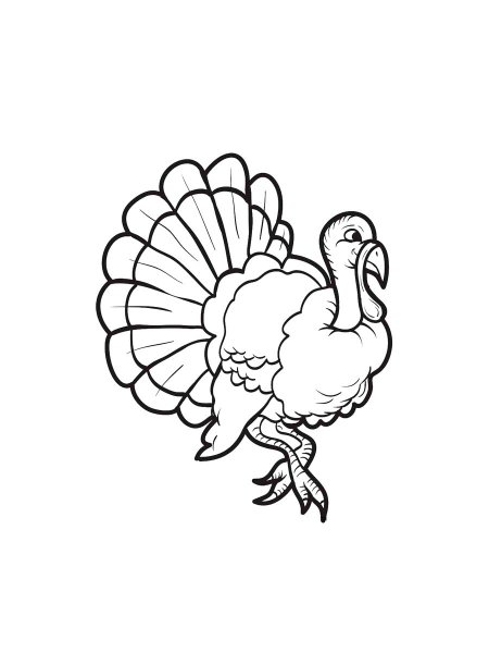 Turkeys coloring pages