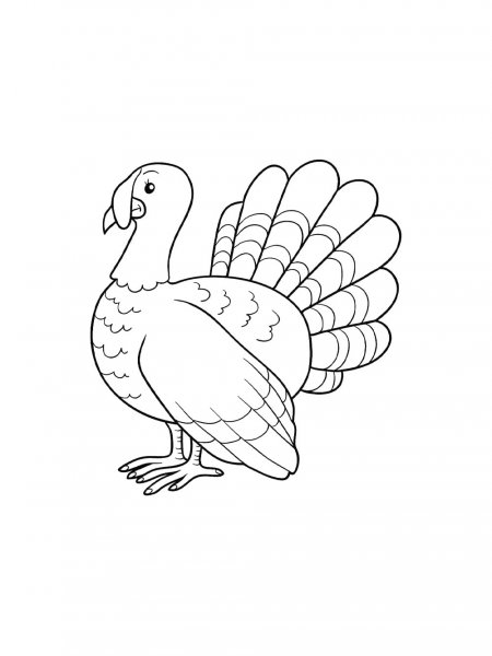 Turkeys coloring pages