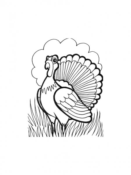 Turkeys coloring pages