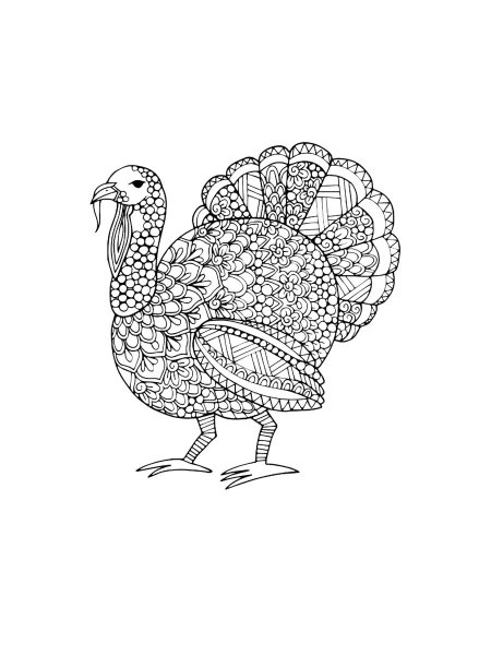 Turkeys coloring pages