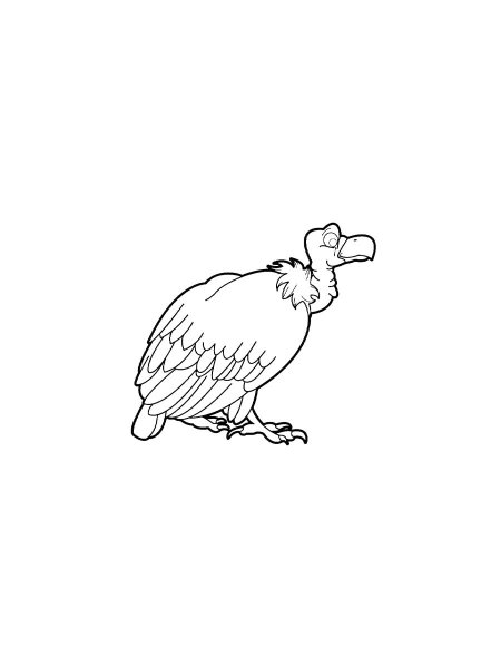 Vulture coloring pages