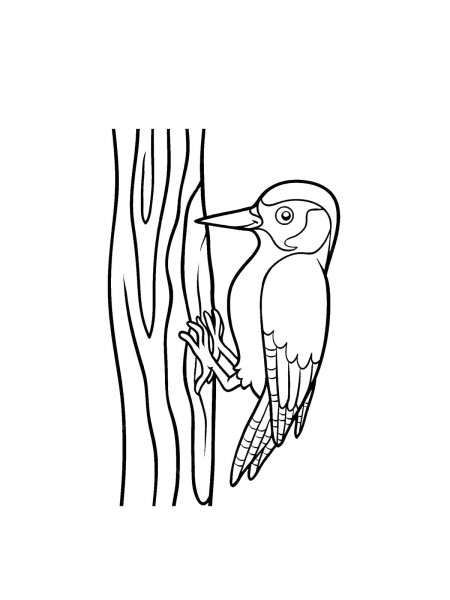 Woodpecker coloring pages