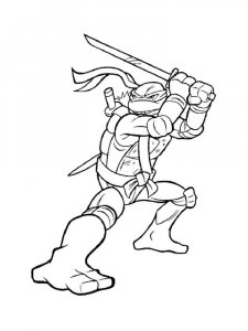Ninja Turtle with Sword