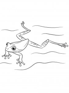 Amphibians coloring page 2 - Free printable