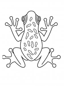 Amphibians coloring page 5 - Free printable