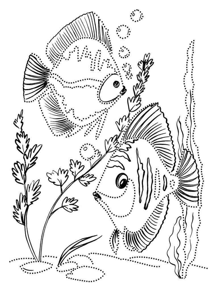 Download 177+ Tropical Fish S Coloring Pages PNG PDF File - Download