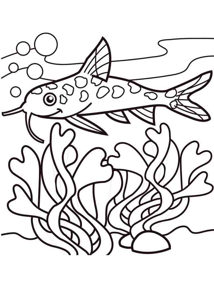 Download Catfish coloring pages. Download and print Catfish ...