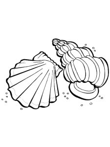 Clam coloring page 2 - Free printable