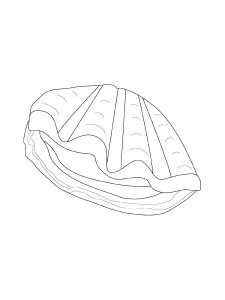 Clam coloring page 4 - Free printable