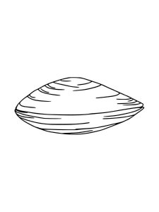 Clam coloring page 6 - Free printable