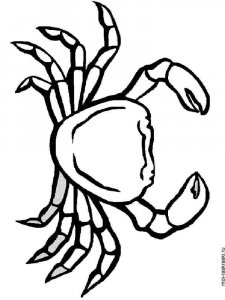 Crab coloring page 10 - Free printable