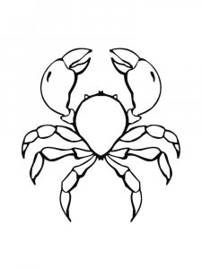 Crab coloring page 19 - Free printable