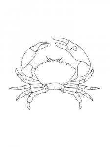 Crab coloring page 27 - Free printable