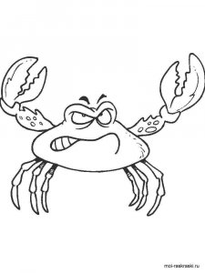 Crab coloring page 3 - Free printable
