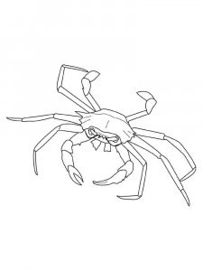 Crab coloring page 39 - Free printable