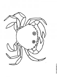 Crab coloring page 5 - Free printable