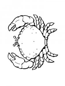 Crab coloring page 8 - Free printable
