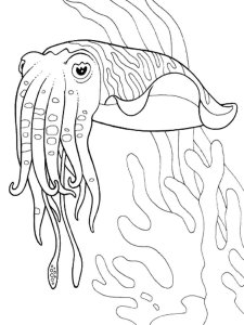 Cuttlefish coloring page 1 - Free printable