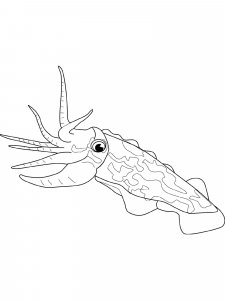 Cuttlefish coloring page 11 - Free printable