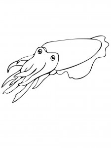 Cuttlefish coloring page 2 - Free printable