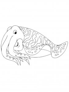 Cuttlefish coloring page 4 - Free printable