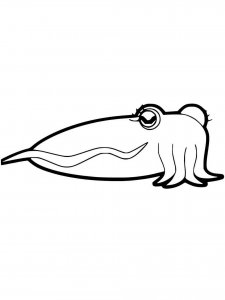 Cuttlefish coloring page 5 - Free printable