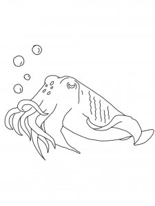 Cuttlefish coloring page 8 - Free printable
