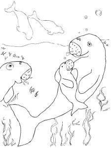 Dugong coloring page 2 - Free printable