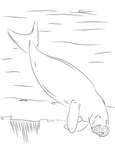 Dugong coloring page 6 - Free printable
