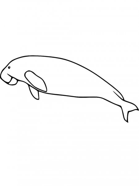 Dugong coloring page