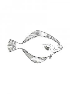 Flounder coloring page 10 - Free printable