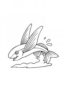 Flying fish coloring page 12 - Free printable