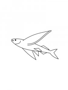 Flying fish coloring page 14 - Free printable