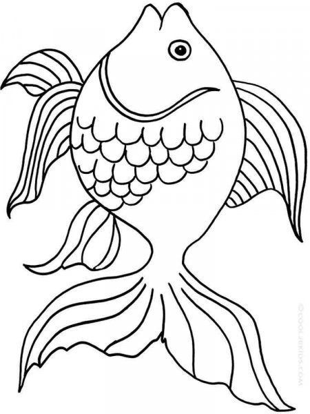 Goldfish coloring pages