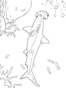 Hammerhead Shark coloring page 3 - Free printable