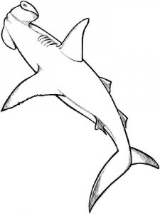 Hammerhead Shark coloring page 4 - Free printable