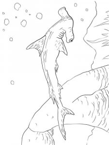 Hammerhead Shark coloring page 7 - Free printable