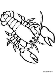 Hermit Crab coloring page 10 - Free printable