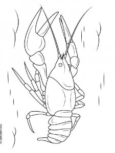 Hermit Crab coloring page 7 - Free printable