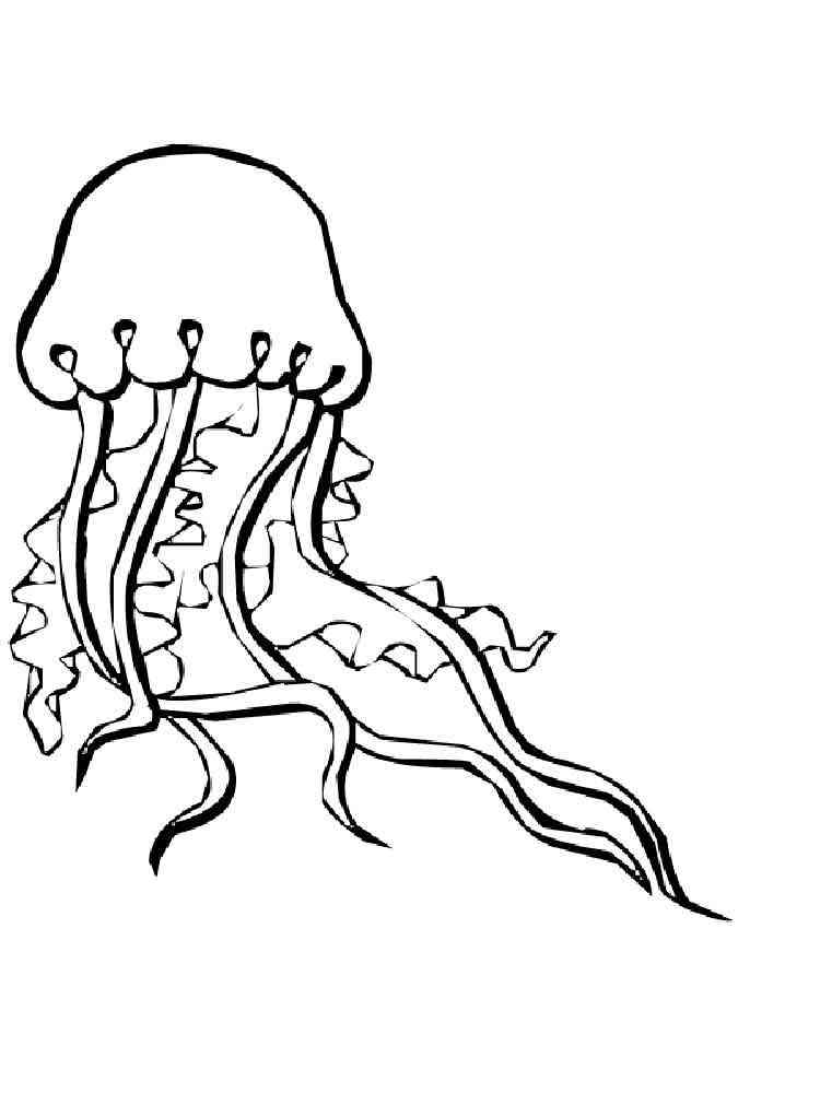Jellyfish coloring pages. Download and print Jellyfish ...