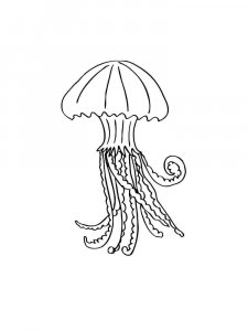 Jellyfish coloring page 15 - Free printable