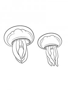 Jellyfish coloring page 19 - Free printable