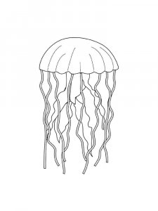 Jellyfish coloring page 20 - Free printable