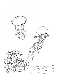 Jellyfish coloring page 27 - Free printable