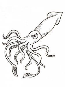 Mollusk coloring page 11 - Free printable