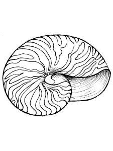 Mollusk coloring page 16 - Free printable